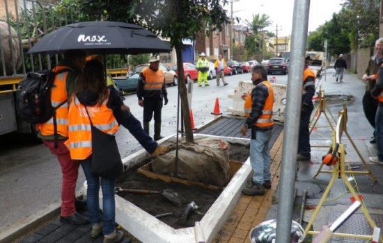 Although the upfront cost of the smarter trees project was relatively high, there are long term benefits such as much less damage to footpaths and houses.