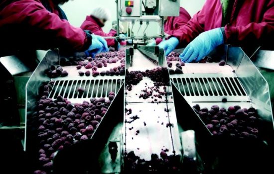 Manufacturing Production Line Stock Image