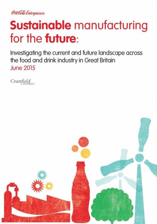 Sustainable manufacturing thesis 07 picture