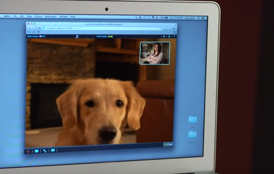Now your pet can call you with the IoT enabled pet product PetChatz - image courtesy of PetChatz