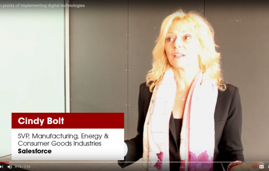 Cindy Bolt, SVP, Manufacturing, Energy & Consumer Goods Industries