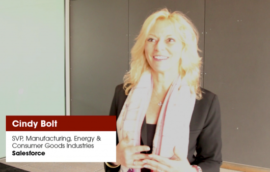 Cindy Bolt, SVP, Manufacturing, Energy & Consumer Goods Industries