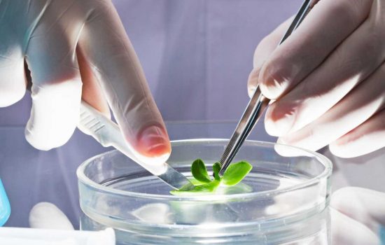 The amount of capital invested alongside CVC into UK companies increased six-fold between 2010 and 2015 - image courtesy of Depositphotos.