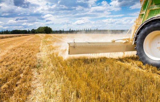 CF Fertilisers is to invest £40m in its manufacturing complex following two years of record outputs - image courtesy of Depositphotos.