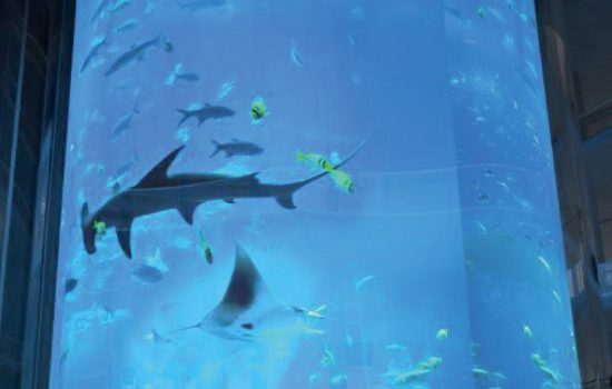 With 99% of its business coming from overseas clients, international sales are vital to the company’s success - image courtesy of ELSS Engineering.