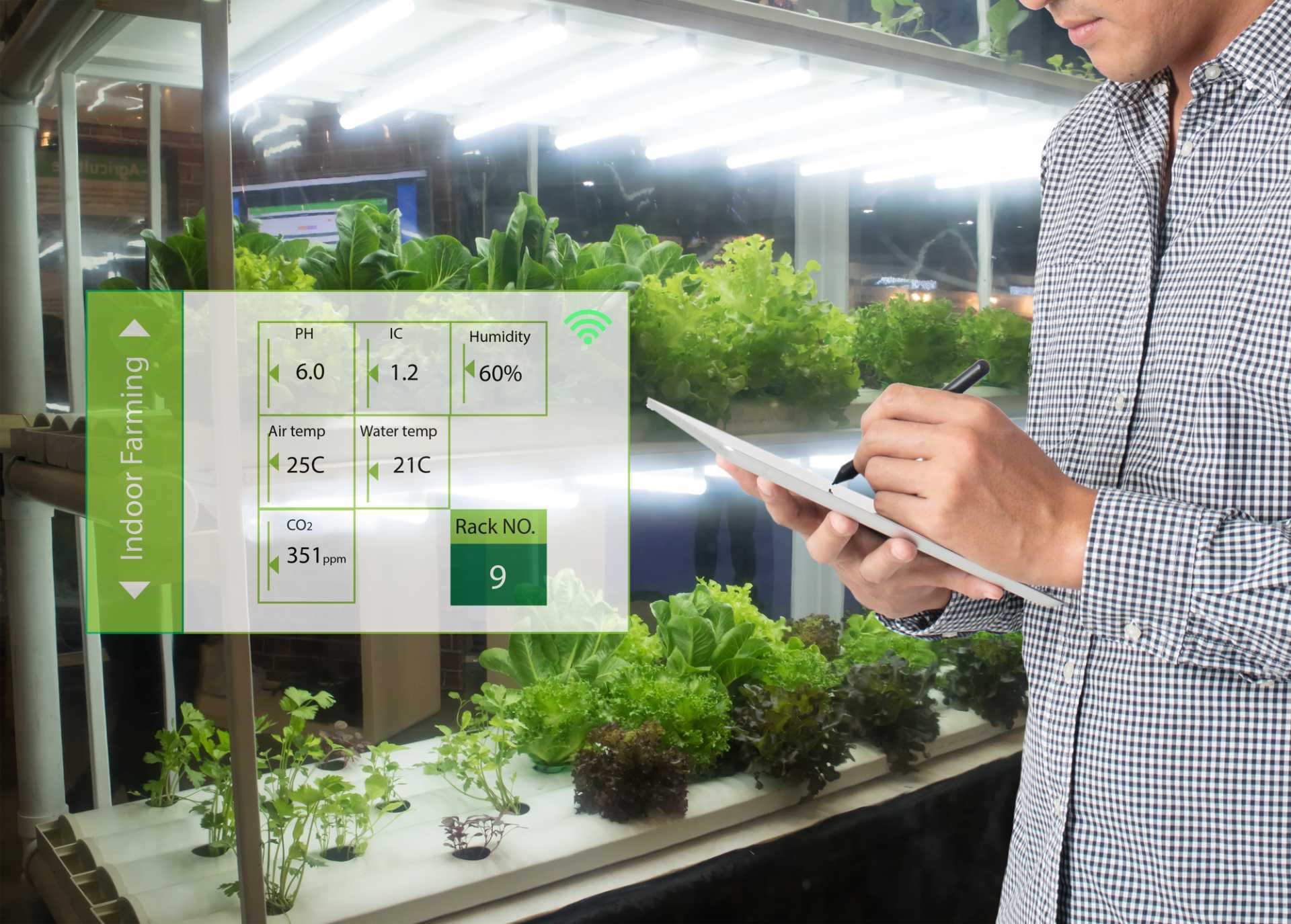 Will Vertical Farming Solve The World s Growing Ecological And Human