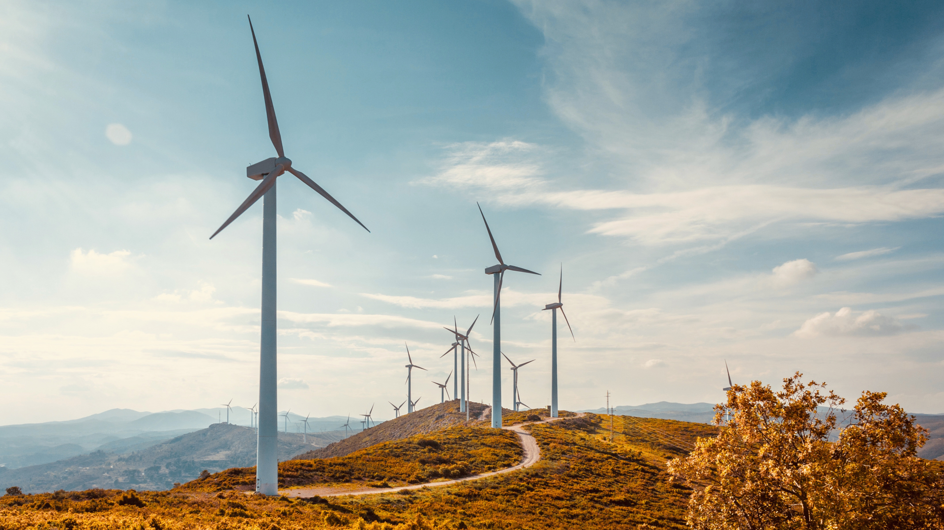 7 ways manufacturers can accelerate their journey to net zero