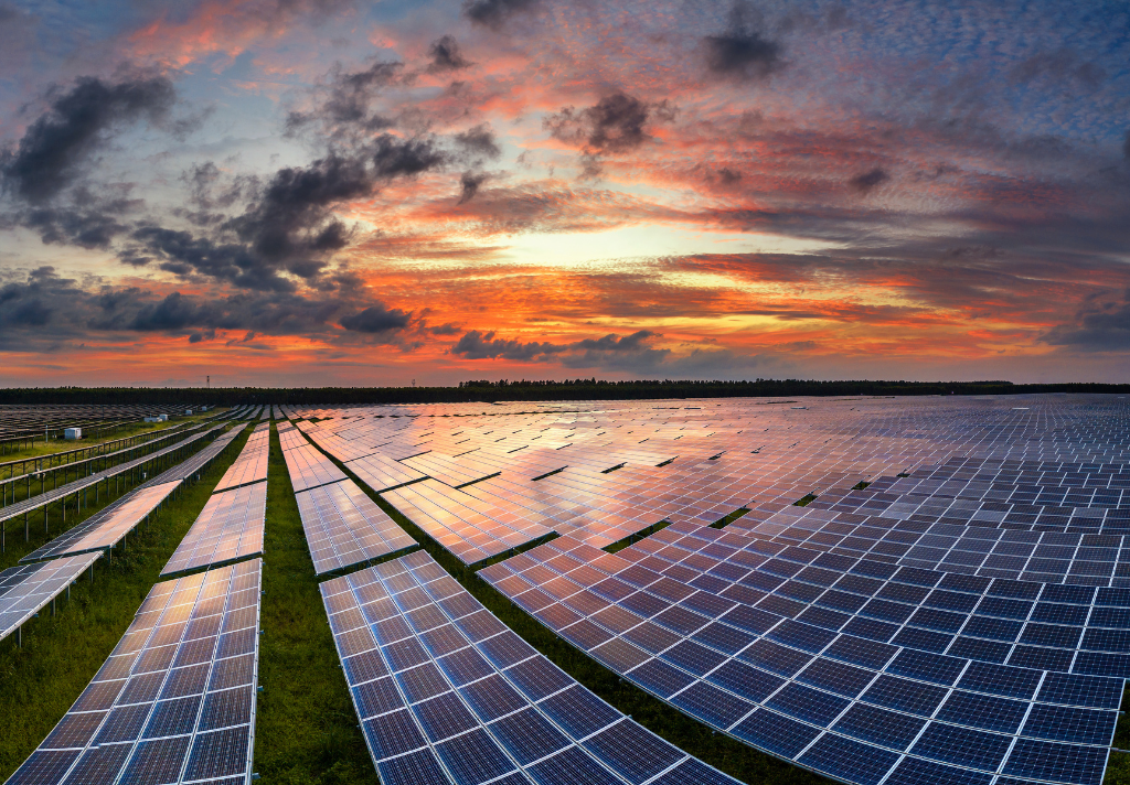 Industrial expertise dedicated to electrical safety