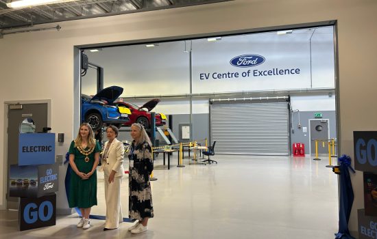 Generation electric: Henry Ford Centre celebrates ten-year milestone