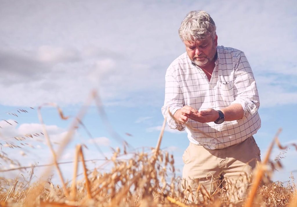 Oat of the ordinary: 100% gluten free oat farming
