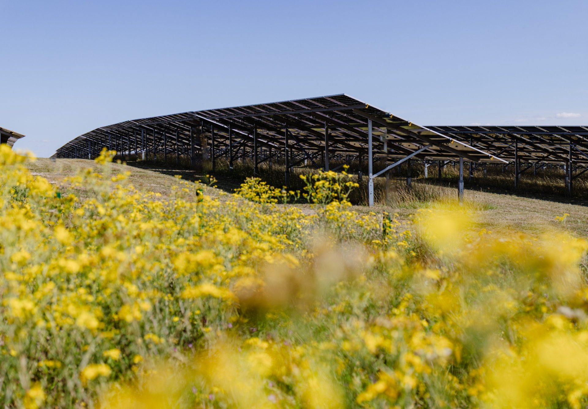 Solar Farm JLR Gaydon-10