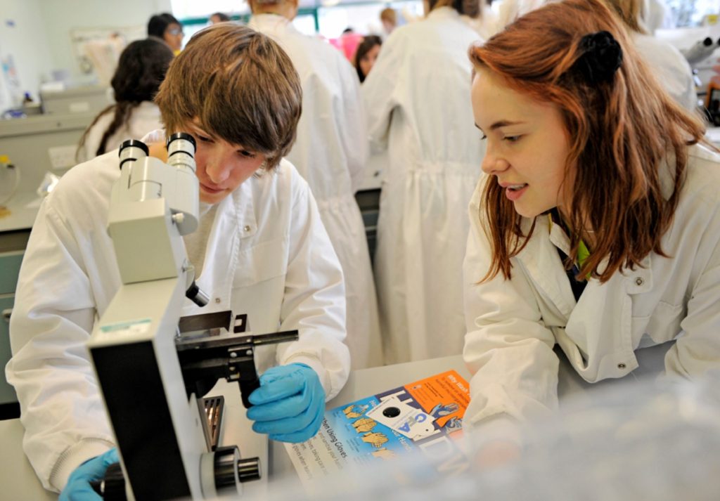 Food science summer school