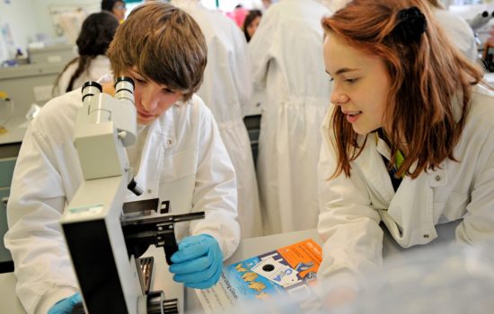 Food science summer school