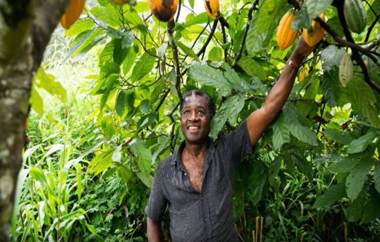 Regenerative Food Systems at Nestle