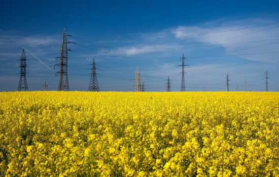 How the Capacity Market shields manufacturers from energy risks