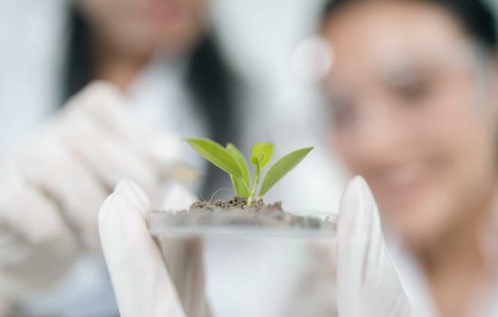 When maintenance becomes a compliance function: rethinking the CMMS for life sciences